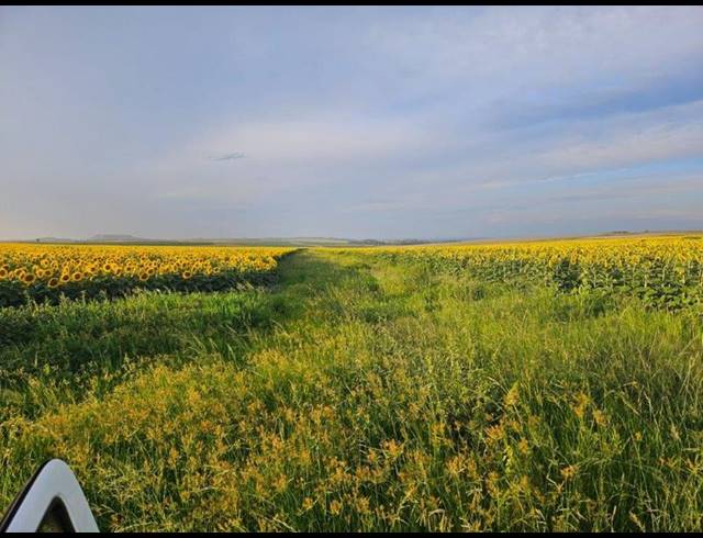 FARM FOR SALE IN BETHLEHEM RURAL